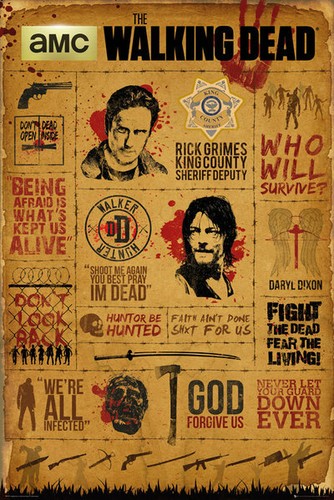 Poster the walking - walking, dead