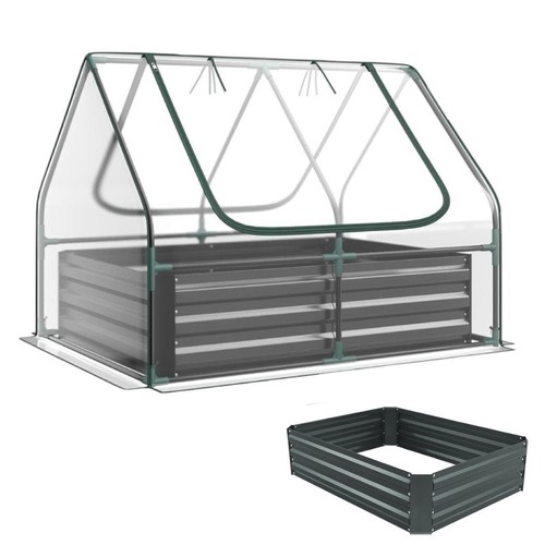 Mini greenhouse small - mini, plant