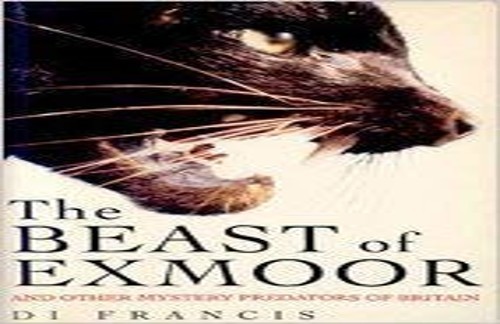 The beast exmoor - beast, and