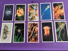 The Living Ocean full set of