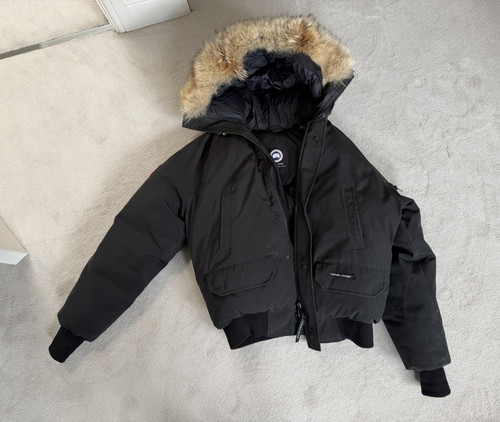 Canada goose arctic program - canada,