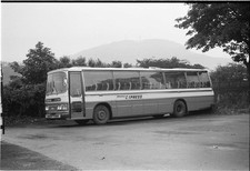 35mm Black and White Negative