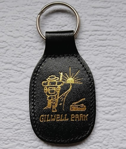 Gilwell park gold foil printed - park,