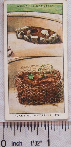 1938 wills garden hints - 1938,