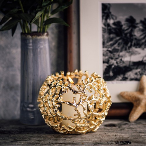 Culinary concepts coral globe - culinary,