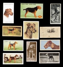 AIREDALE TERRIER DOG Cigarette
