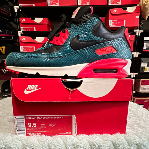 Nike air max anniversary - max,