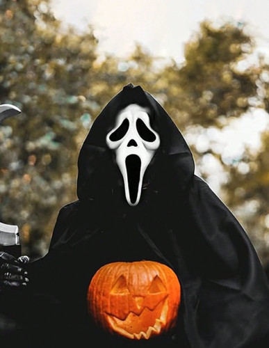 Call duty ghost mask - mask, cod