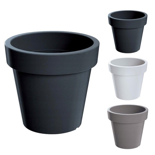 Big plant tree pots extra - tree,