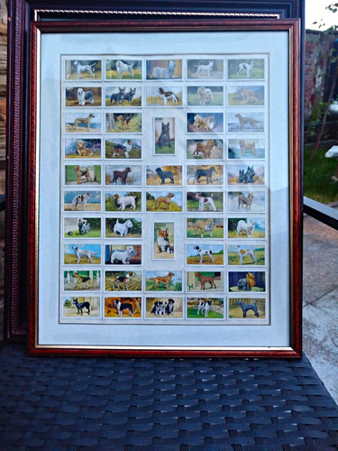 Framed h o wills - &,