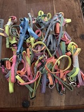 Joblot 12x Rainbow /blue Dog