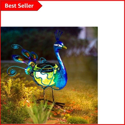 Illuminate your garden - illuminate,