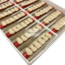 96PC anterior upper lower