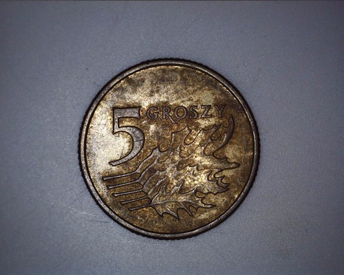 Poland groszy 2011 - 5,