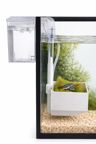 Egg catcher breeding - egg,