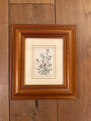 Framed purple thistle - framed, thistle”