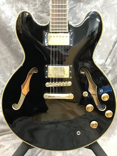 Epiphone sheraton pro - sheraton, ii