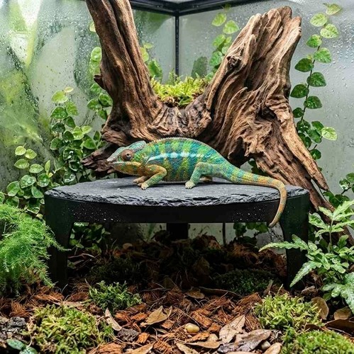 Terrarium corner shelter 15cm - corner,