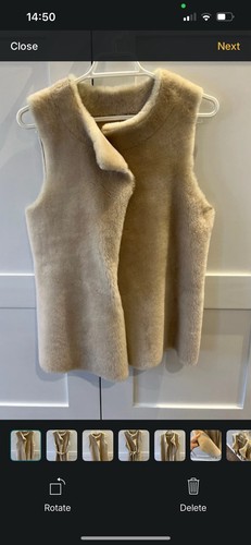 New sheep chic - sheep,