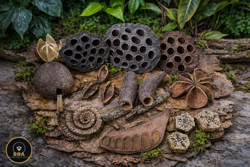 Bundle box pods terrarium - bundle,