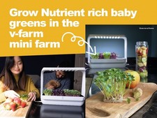 Indoor Microgreen Herb Garden