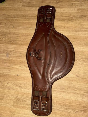 Mark todd stud - mark,