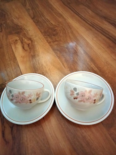 Vintage boots hedge rose - hedge, cups