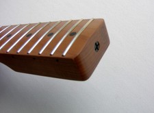 Telecaster Vintage Style 1