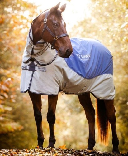 New rambo autumn - autumn, series