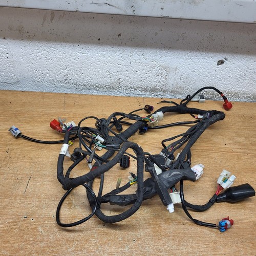 Lexmoto lxr125 wiring loom - lexmoto,