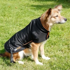 Dog coats outdoor waterproof - dog,