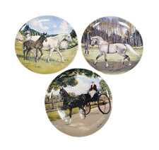 Spode Porcelain Horse Plates X3 Hackney, English Hanoverian, Austrian Lipizzaner