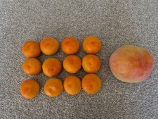 Artificial Fruits - 12 x
