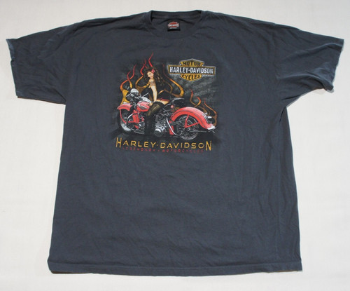 Harley davidson shirt mens - shirt,