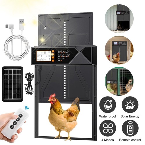 Automatic chicken solar coop - solar,