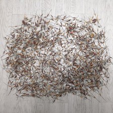 JOBLOT ISKRA & PIHER 1/2 WATT