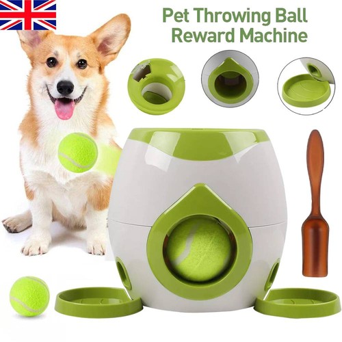Pet ball food feeder dog - feeder,
