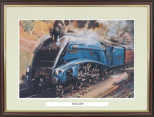 Mallard steam engine - mallard, engine/train