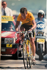 12x8 Photo Hand Signed by Greg