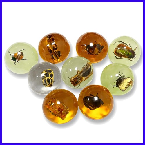 Pcs insect amber - amber, fossils
