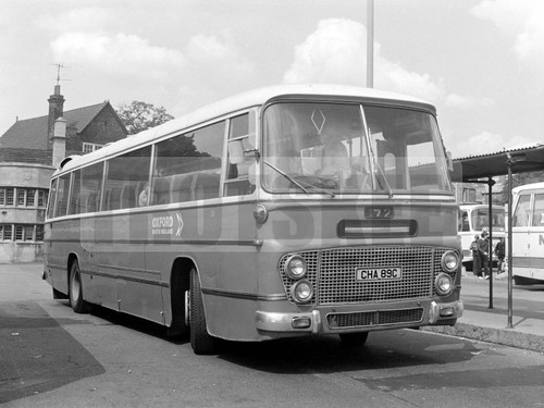 Large negative oxford - large, leyland