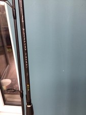 A ESP Distance Carp Rod