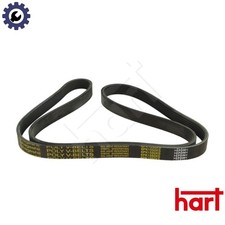 VRIBBED BELT 917 791 FOR VW CALIFORNIA/T6/Camper/T5 TRANSPORTER/CARAVELLE/Bus