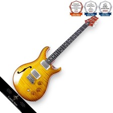 PRS DGT SemiHollow Limited