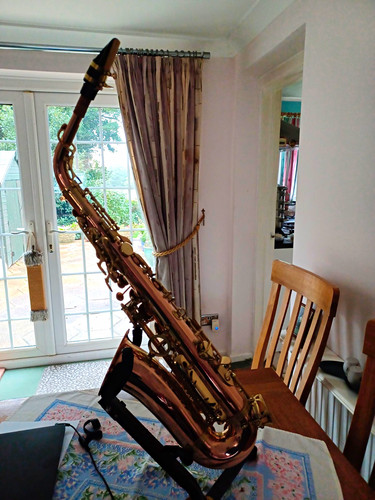 Sakkusu deluxe alto - deluxe, saxophone
