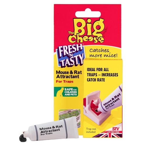 The big cheese mouse rat - the,