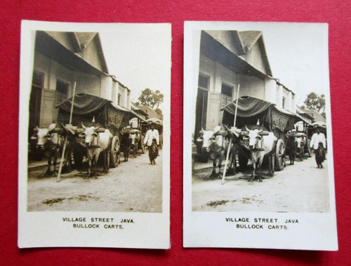 Cavanders pair 1927 - pair,