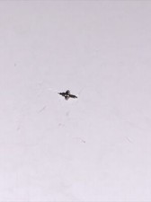 Alster Calibre 3-3/4 Balance