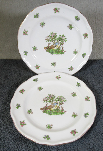 Lovely vintage spode - vintage, china