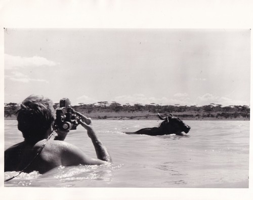 Original press photo - press, mara